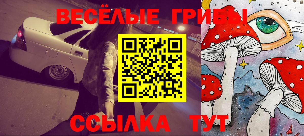 Псилоцибиновые грибы MAGIC MUSHROOMS Избербаш