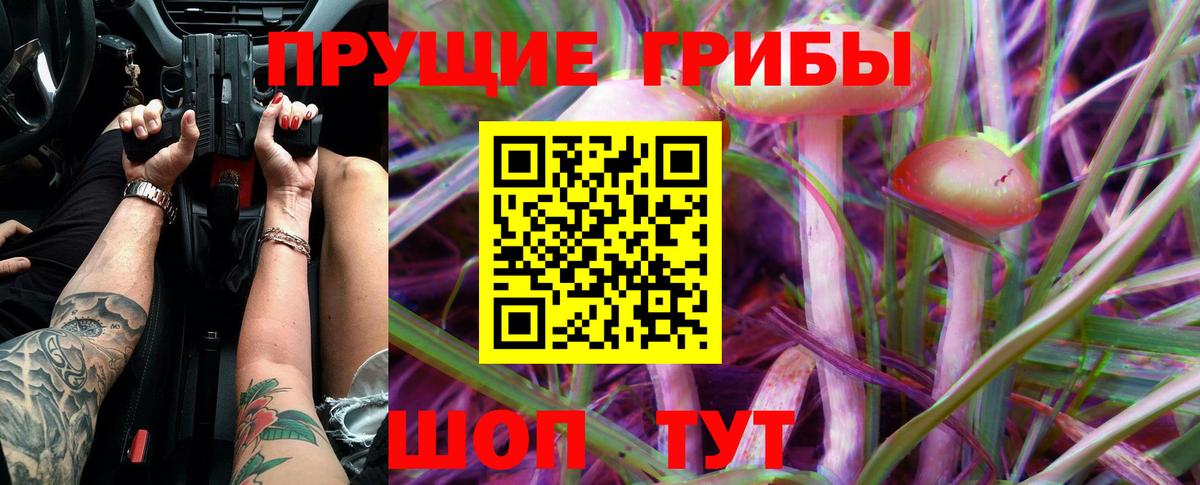 Псилоцибиновые грибы Psilocybe  где найти наркотики  Избербаш  Вход с VPN 
